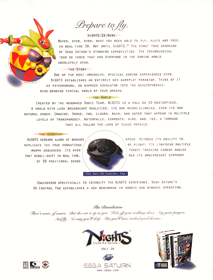 NiGHTS into Dreams... - Advertisement Flyer - Front