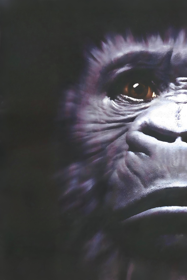 Congo The Movie: The Lost City of Zinj - Poster