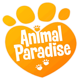 Animal Paradise - Clear Logo Image