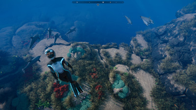 Beyond Blue - Screenshot - Gameplay