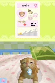 Petz Nursery 2 - Screenshot - Gameplay