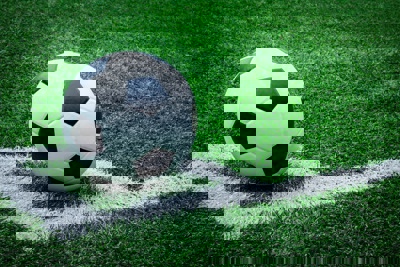 Striker - Fanart - Background