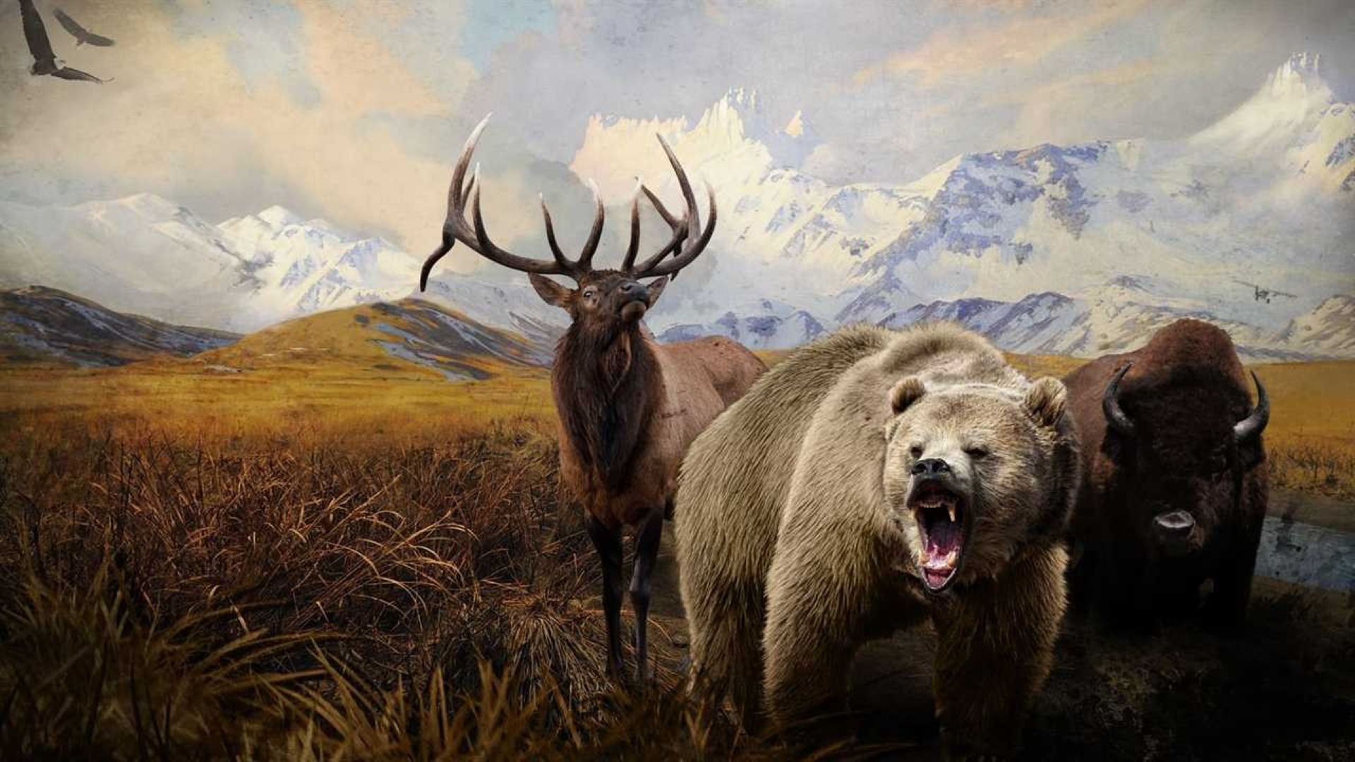 Hunter's Trophy 2: America