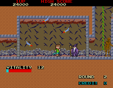 Dragon Buster - Screenshot - Gameplay