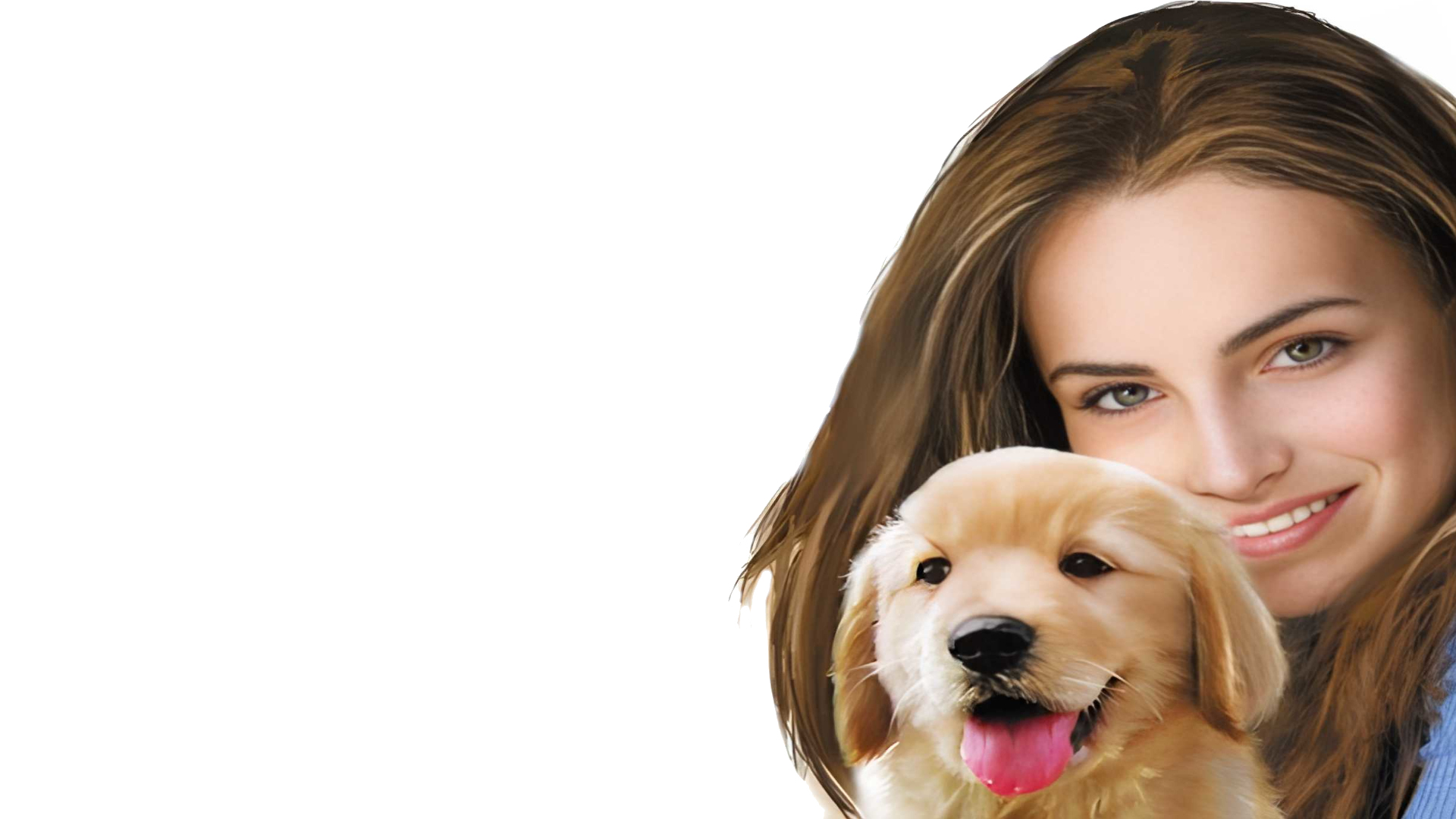 Dreamer Series: Puppy Trainer