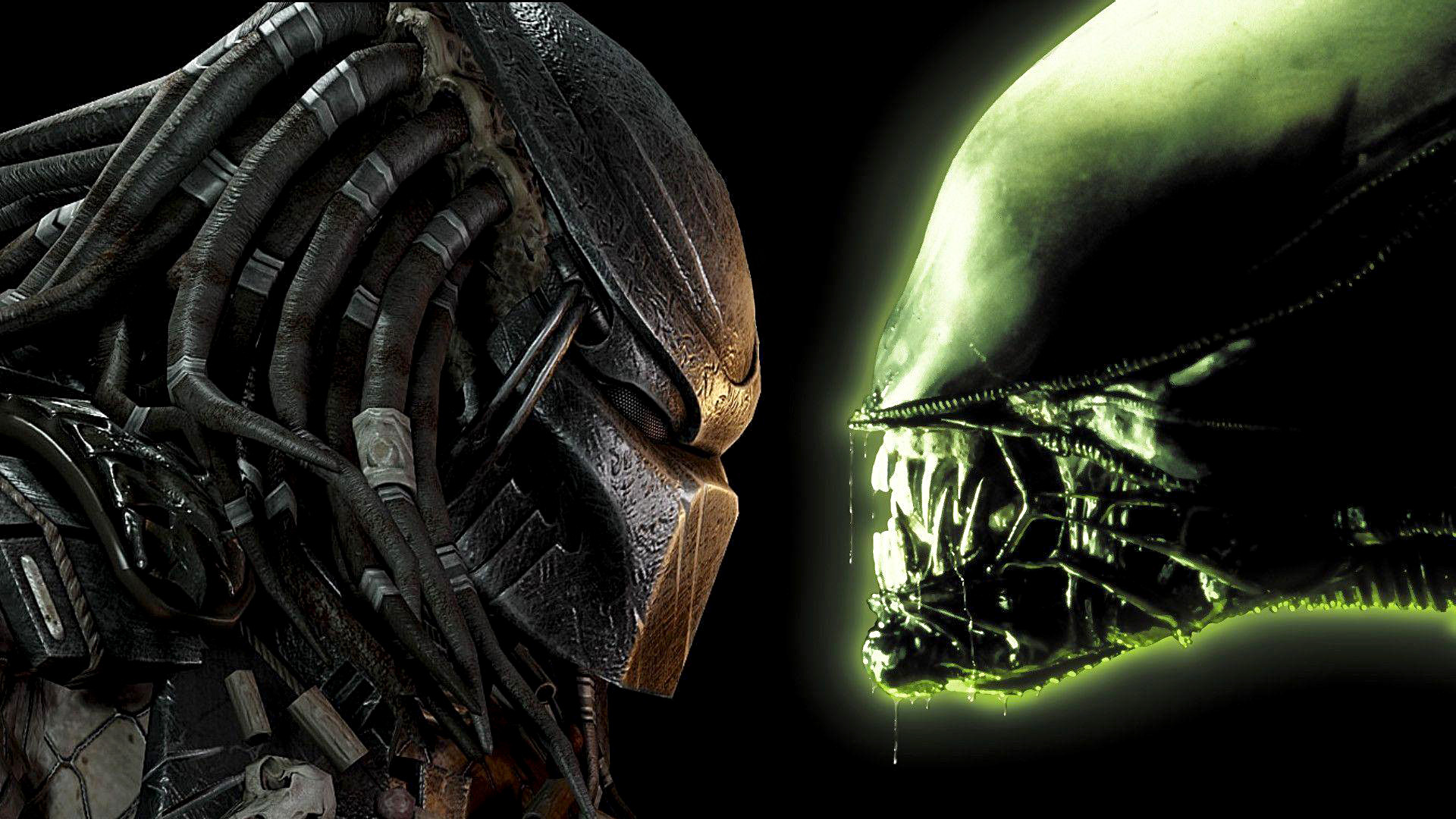 Alien vs. Predator: Aftermath