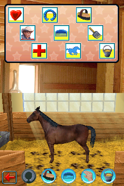 Western Riding Academy