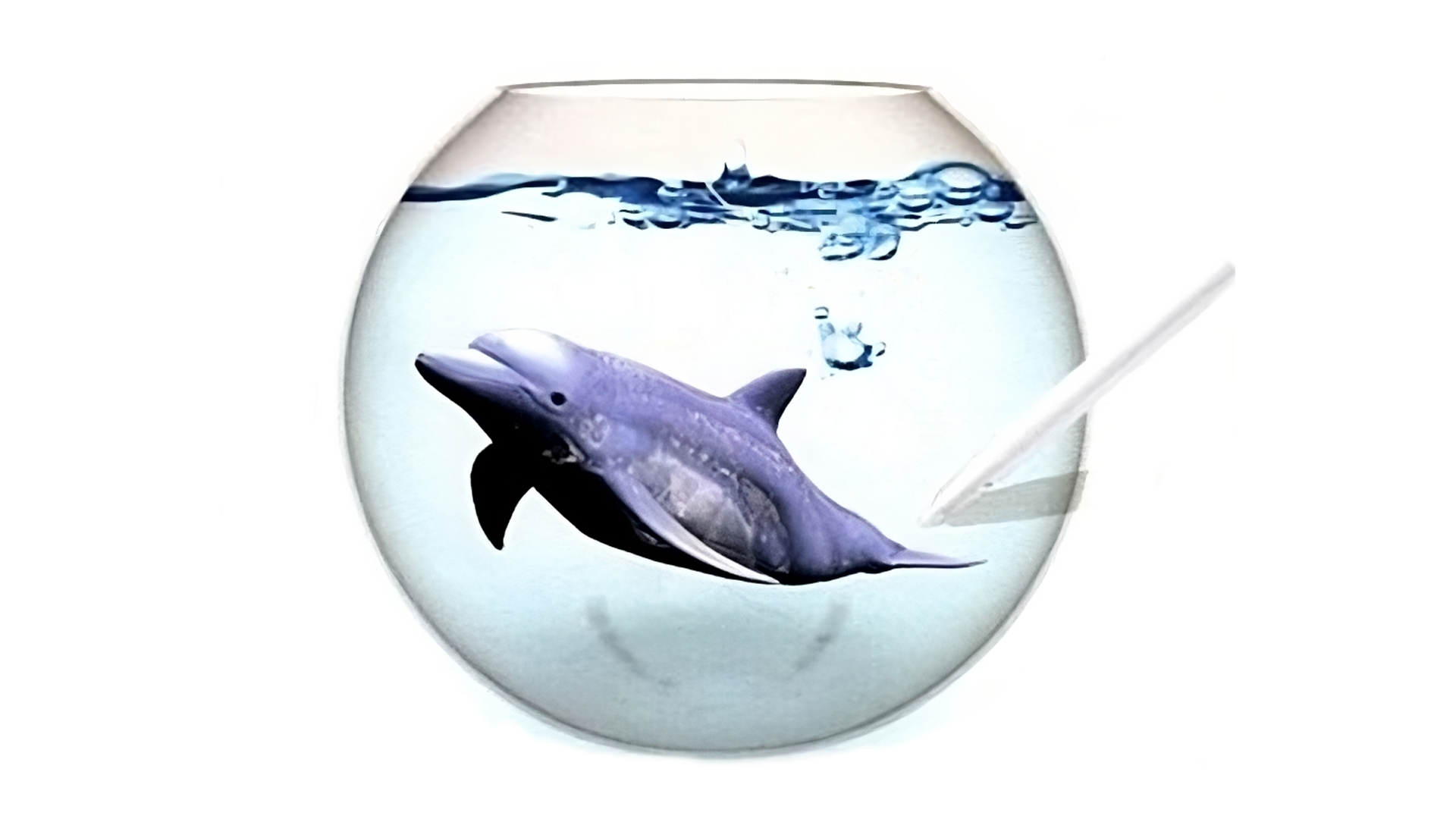 Fantasy Aquarium by DS